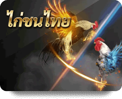 ไก่ชนไทย