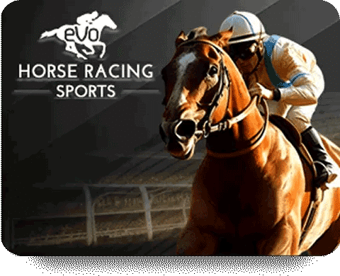 Horse Racing Sport